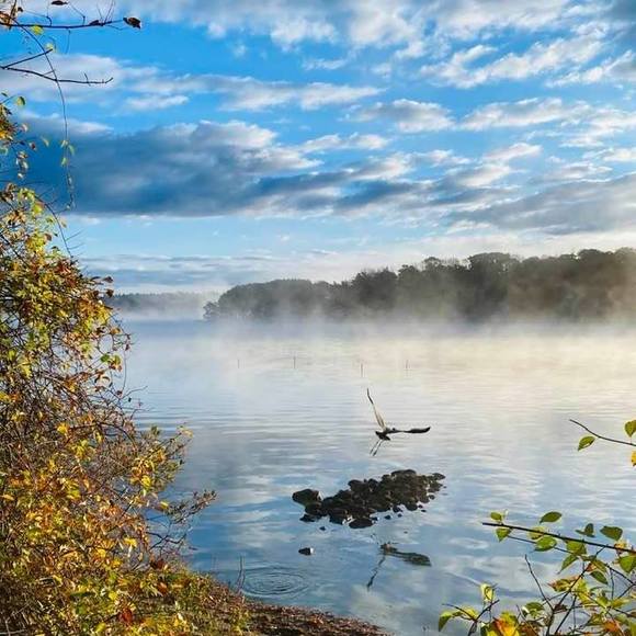 Meet your Posher, Yael - Picture 1 of 1